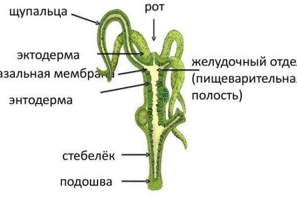 Как вернуть профиль в кракене